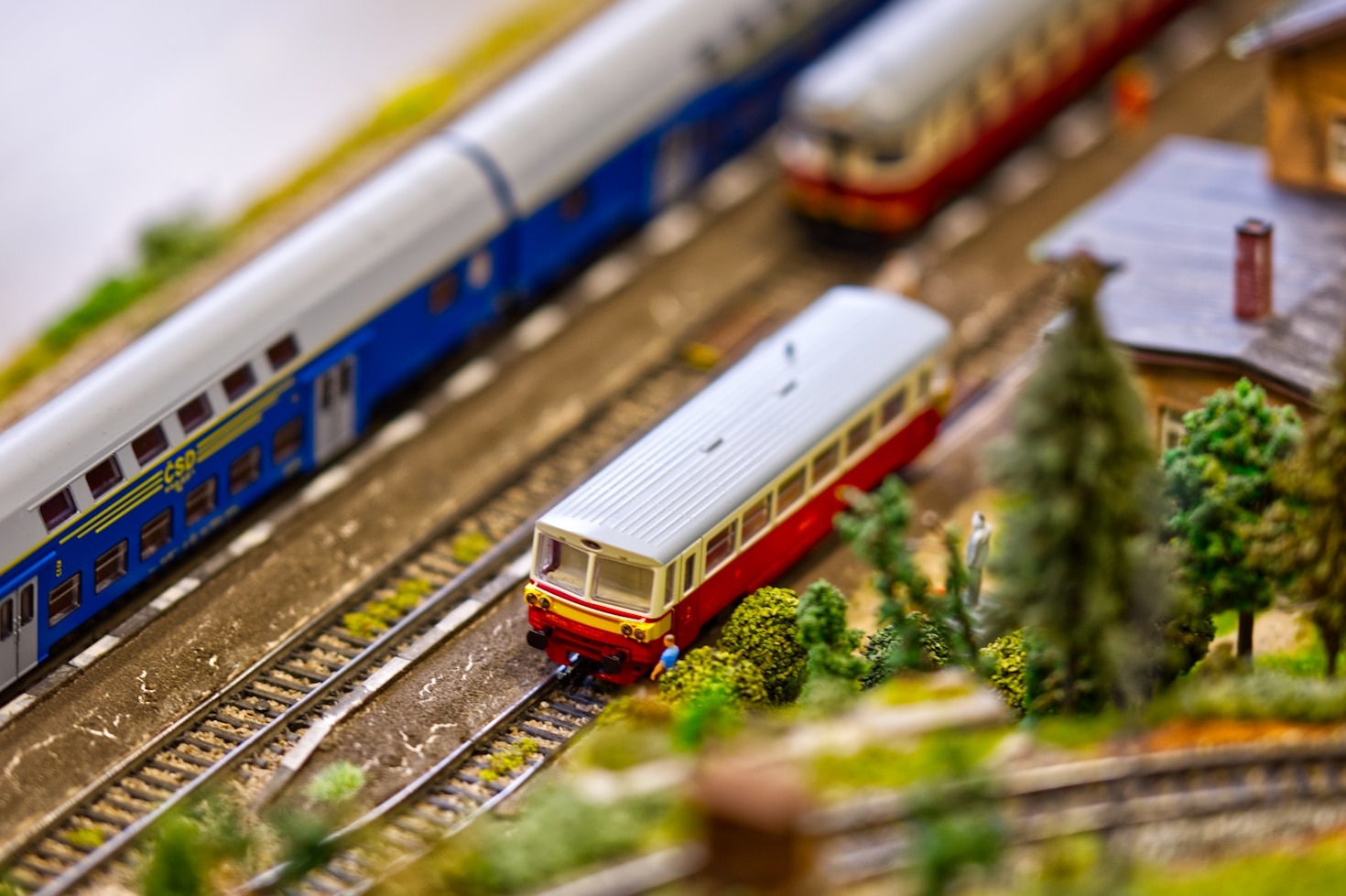 Jahresrückblick: Highlights des Vereinslebens